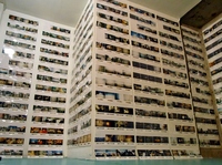 RIMG0873 (800x597).jpg