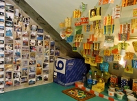 RIMG0875 (800x595).jpg