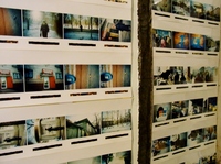 RIMG0961 (800x599).jpg